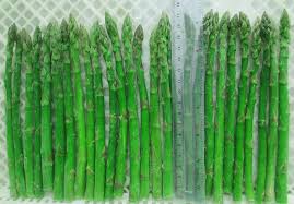 IQF and Canned Asparagus