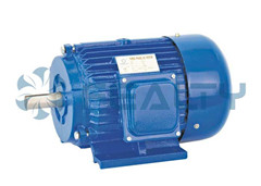 50/60HZ Y Series Three-phase Induction Motor, Brand Name : Fealty