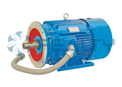 50/60HZ YK2 Series Three-phase Induction Motor, Brand Name : Fealty