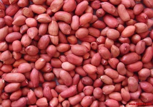 Red Skin Peanuts