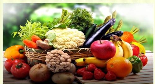 Bloom 16 Organic Plant Biostimulant