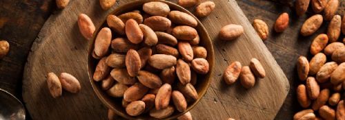 Cocoa beans, Condition : Dried