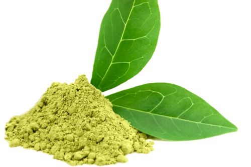 Green Tea Extract