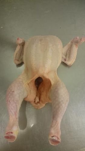 Halal Frozen Whole Chicken, Certification : Iso