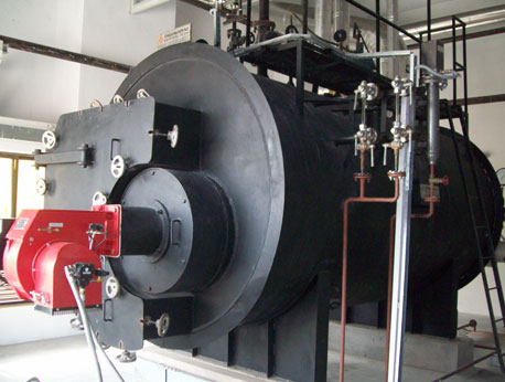 Gas Fired Boilers