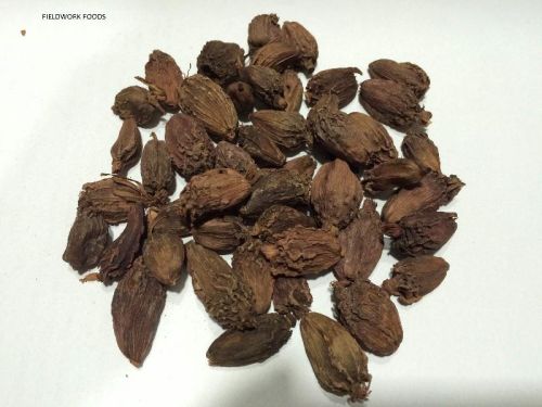 Large Cardamom