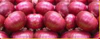 Fresh red onion For Cooking