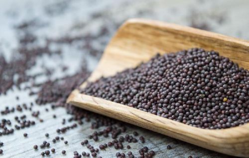 Black Mustard Seeds, Cultivation Type : Natural