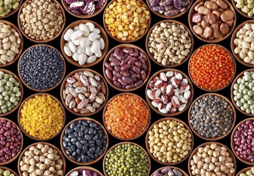 Indian pulses, Shelf Life : 12 Months