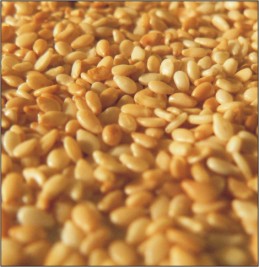 Sesame seeds, Packaging Size : 25-50kg