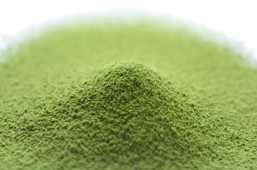 Matcha Pro Fine (Green Tea Powder) 1Kg YMIG-1000