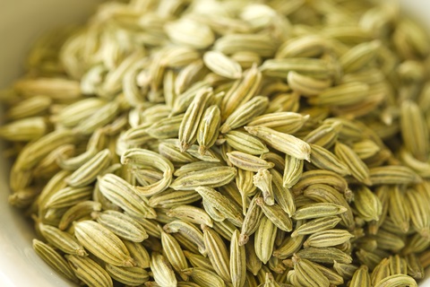 Fennel