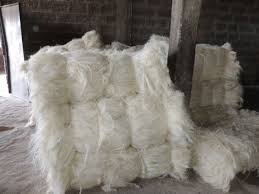 Natural Sisal Fiber/Ropes For Sale