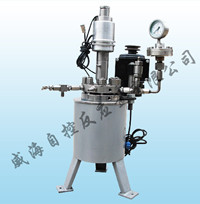 WHF Lab Series Magnetic Stirring Reactor