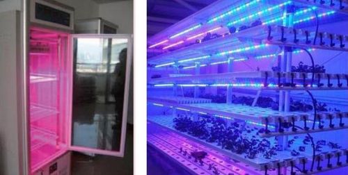 QT-LED1218 Plant Fill Light Lamp