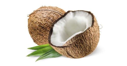 Soft Natural Fresh Coconut, For Cosmetics, Medicines, Pooja, Feature : Free From Impurities, Good Taste