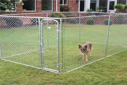 Chain Link PET Enclosure Dog Kennel