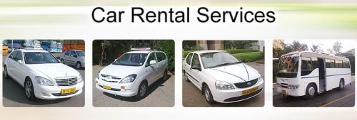 Car Rentals Service Provider