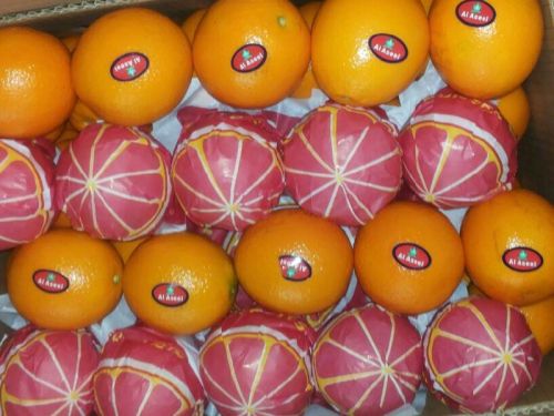 HIGHLY QUALIFIED ORANGES, Certification : ISO for JUICE - JAM - FRUIT