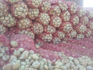 Onions, Shelf Life : 7-15days