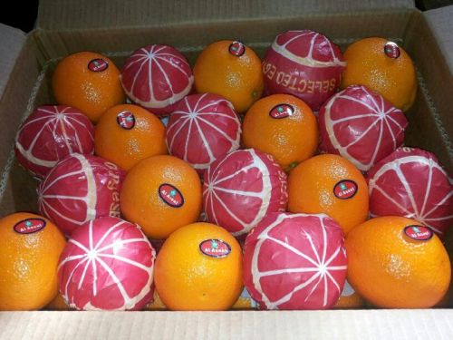 Orange, Certification : ISO, Packaging Type : yellow