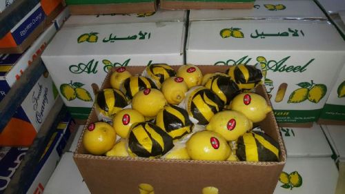 FORWELL Super Lemon, Packaging Type : YELLOW- GREEN, Grade : AAA