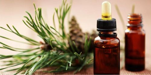 Organic Oil, For Cosmetics, Feature : Freshness, Purity