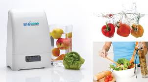 Food Purifier