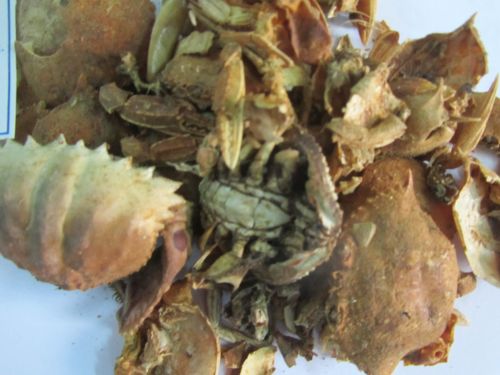 Dried Crab Shell, Brand Name : Viet Delta