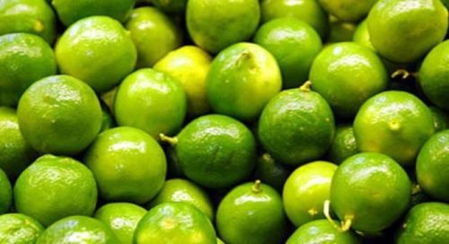 Lemon, Cultivation : Organic