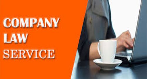 Company Law Consultancy Services