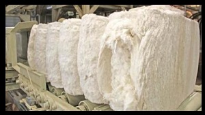 Cotton Yarn Products