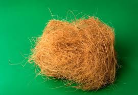 Coconut Fibers