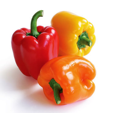 Resource Foyer Fresh Bell Pepper