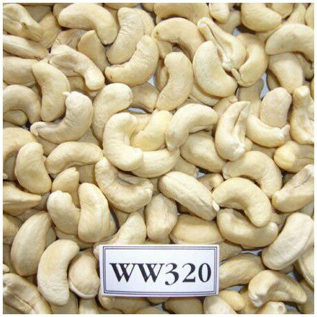 Cashew Kernel W320