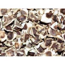 Moringa seeds, Pack Size : 10-100 Kg