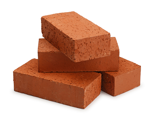 Coconut Coir Bricks