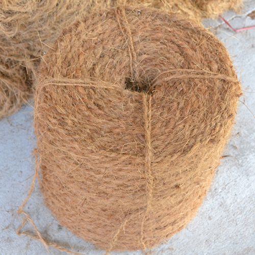 Coconut Fibers