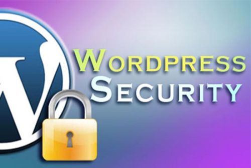 WordPress Development Services