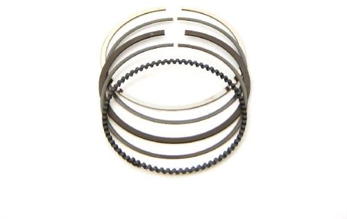 Piston Ring Spring