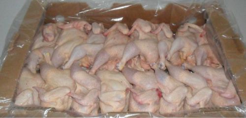 Frozen chicken for HALAL
