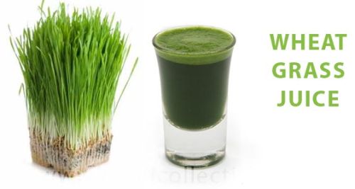 Aloe Vera Wheatgrass Juice