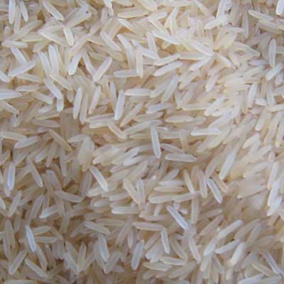 Golden Rice