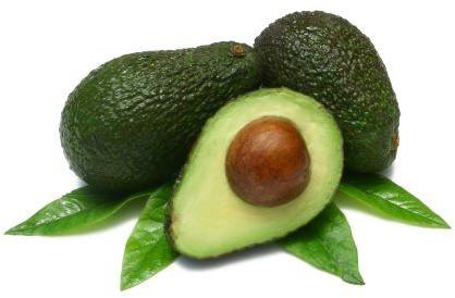 Fresh avocado, Shape : Oval