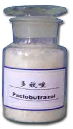 Paclobutrazol, Brand Name : JXDCHEM