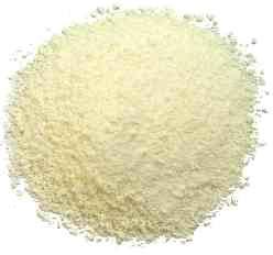 Whey Milk Powder