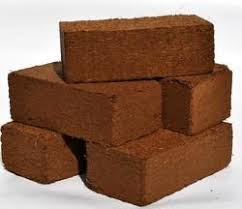 Cocopeat Brick