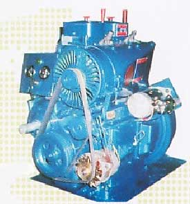 Air Cooled Diesel Engine