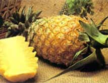 Pineapple Pulp