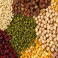 Common Pulses, For Cooking, Certification : FSSAI Certified